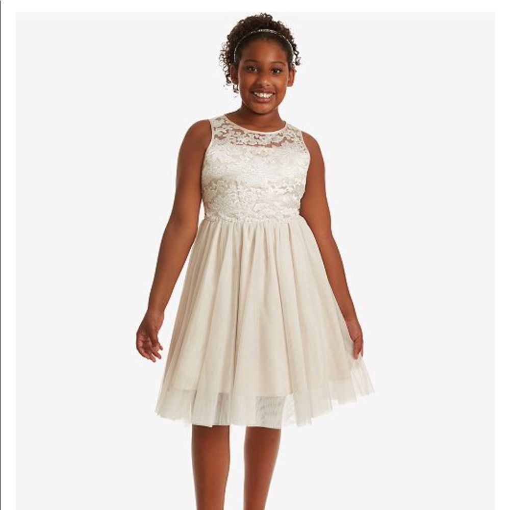 Rare Editions Big Girl Plus Embroidered Mesh Dress